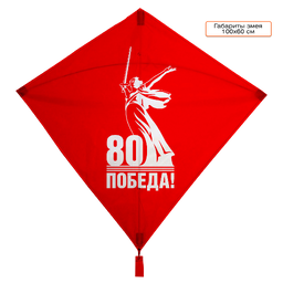 Воздушный змей Дельта 100х60 см с полной запечаткой полотна