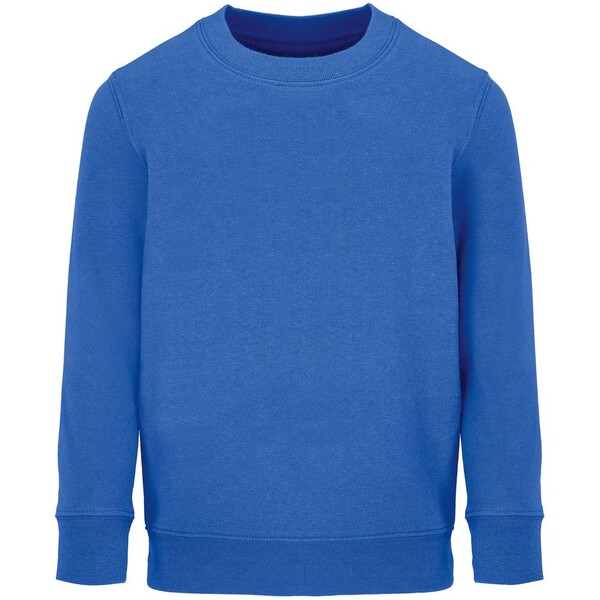 Свитшот детский Columbia Kids, ярко-синий (royal), на рост96-104