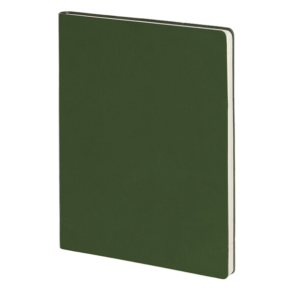 Бизнес-блокнот BIGGY, формат B5, в клетку зелен