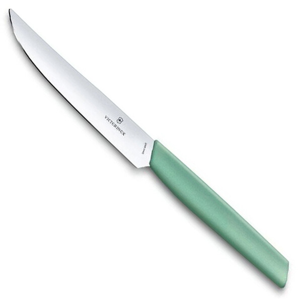 Нож Victorinox для стейка, лезвие 12 см прямое, мятно-зелёный