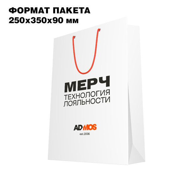 Пакет бумажный средний с печатью (под А4 250*350*90мм)