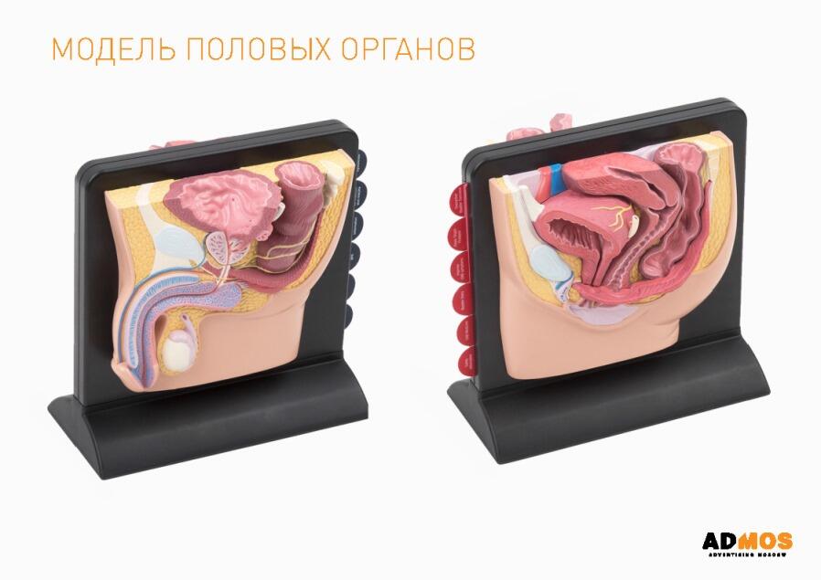 Медицинские товары