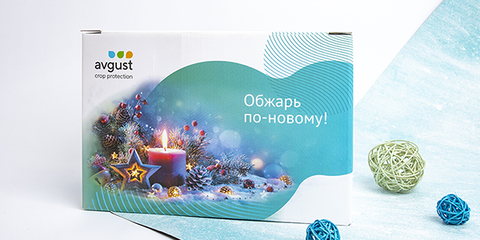 podarok-avgust-na-novyy-god-s-tosterom (2)